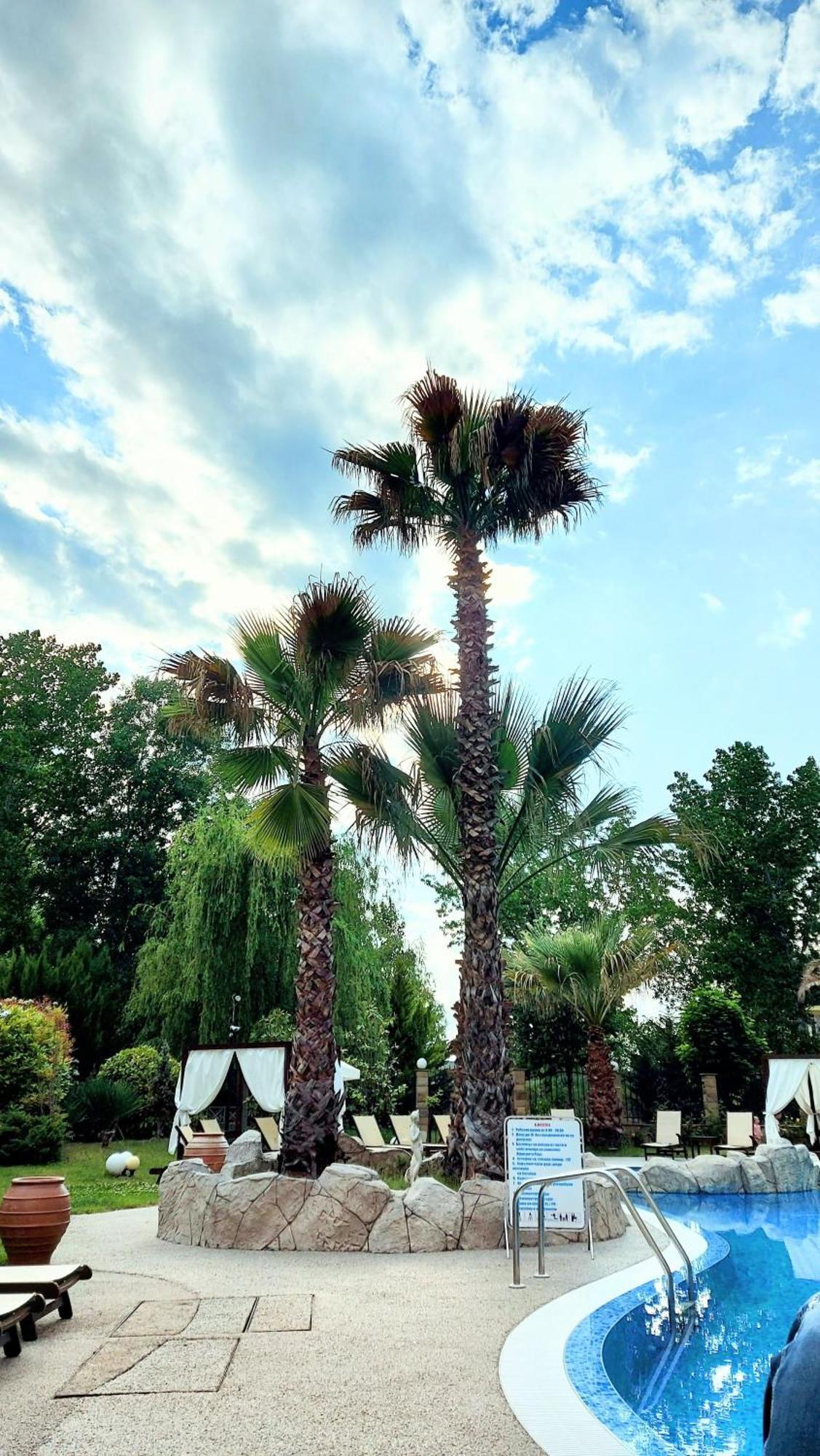 Апартаменты Aphrodite Roce Sunny Beach Eksteriør billede