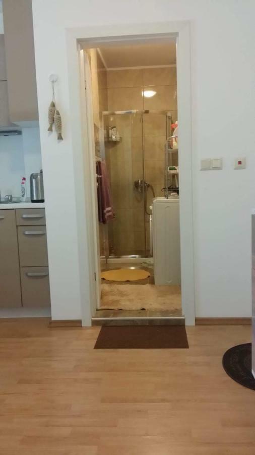 Апартаменты Aphrodite Roce Sunny Beach Eksteriør billede